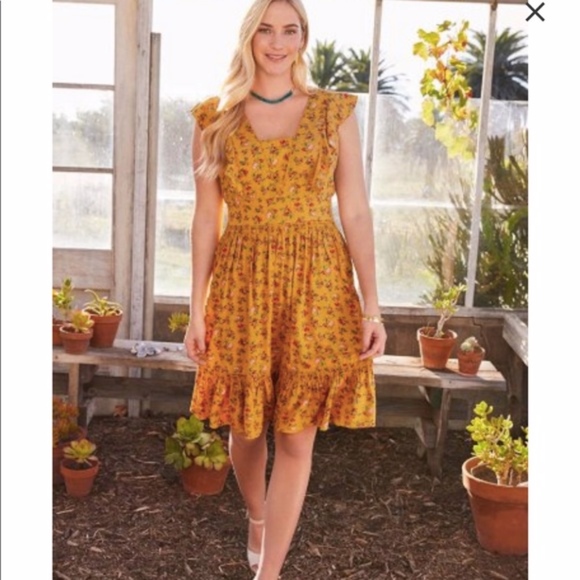 Matilda Jane Fancy Feast Dress NWT Size S - Picture 1 of 8